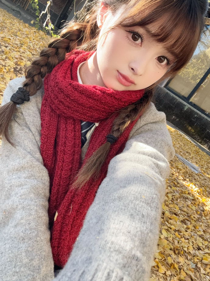 阿甘正传 封面